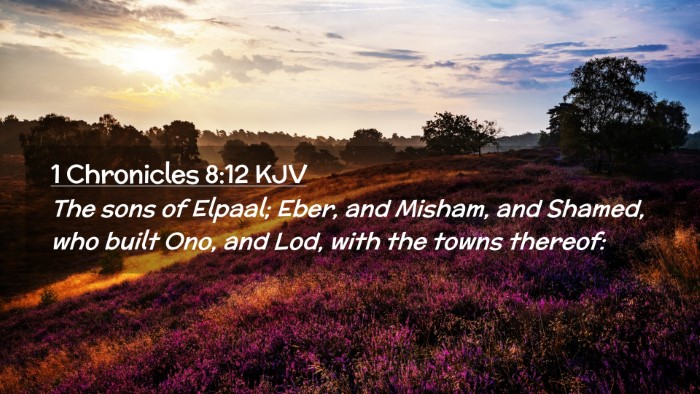 Picture 02 - 1 Chronicles 8:12 KJV Desktop Wallpaper - The sons of Elpaal; Eber, and Misham, and Shamed, - Desktop Bible Verse Wallpaper