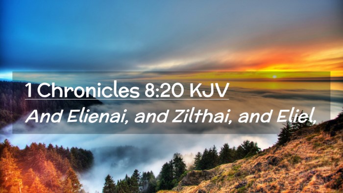 Picture 02 - 1 Chronicles 8:20 KJV Desktop Wallpaper - And Elienai, and Zilthai, and - Desktop Bible Verse Wallpaper