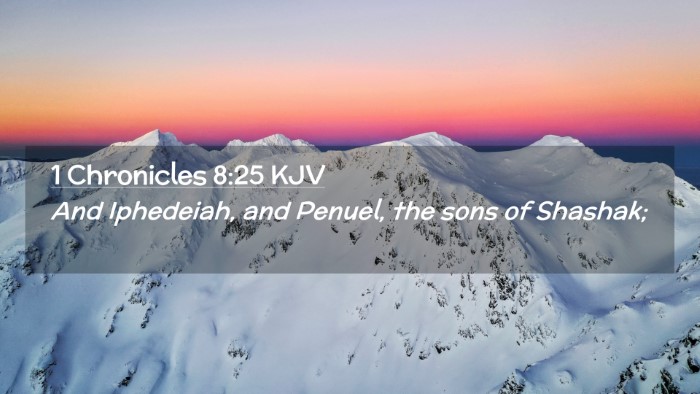 Picture 02 - 1 Chronicles 8:25 KJV Desktop Wallpaper - And Iphedeiah, and Penuel, the sons of - Desktop Bible Verse Wallpaper