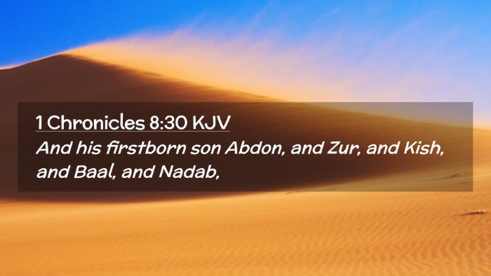Picture 02 - 1 Chronicles 8:30 KJV Desktop Wallpaper - And his firstborn son Abdon, and Zur, and Kish, - Desktop Bible Verse Wallpaper