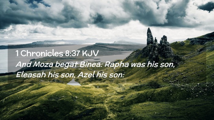 Picture 02 - 1 Chronicles 8:37 KJV Desktop Wallpaper - And Moza begat Binea: Rapha was his son, Eleasah - Desktop Bible Verse Wallpaper