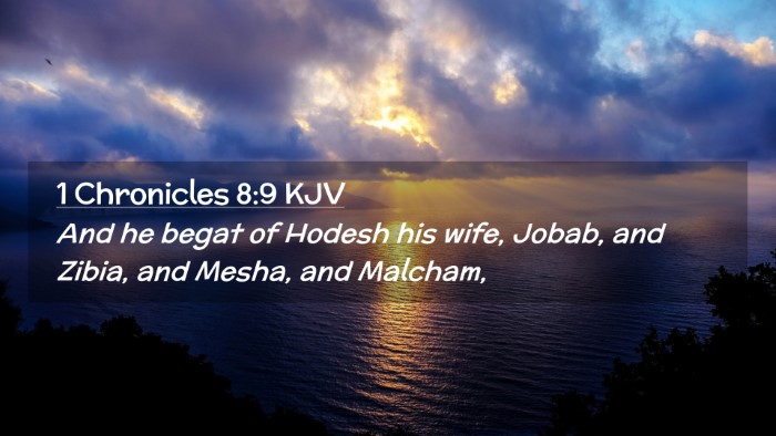 Picture 02 - 1 Chronicles 8:9 KJV Desktop Wallpaper - And he begat of Hodesh his wife, Jobab, and - Desktop Bible Verse Wallpaper