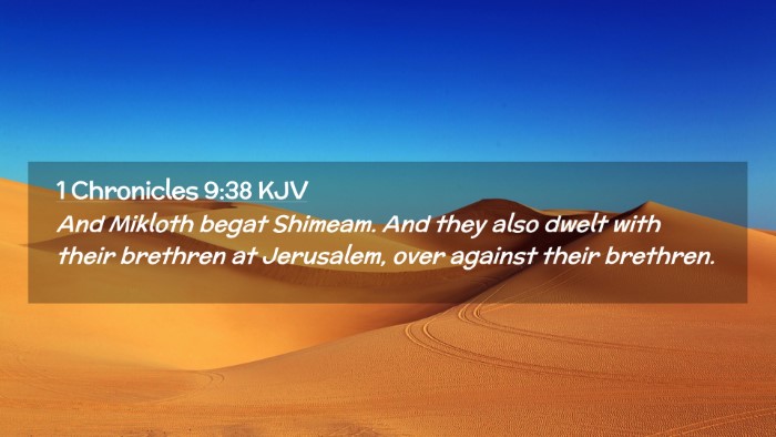 Picture 02 - 1 Chronicles 9:38 KJV Desktop Wallpaper - And Mikloth begat Shimeam. And they also dwelt - Desktop Bible Verse Wallpaper