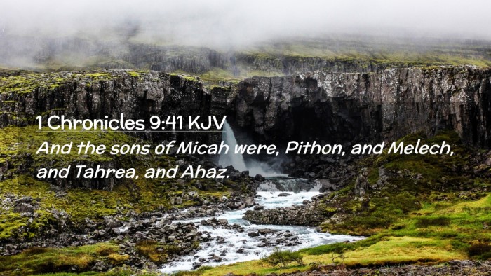 Picture 02 - 1 Chronicles 9:41 KJV Desktop Wallpaper - And the sons of Micah were, Pithon, and Melech, - Desktop Bible Verse Wallpaper