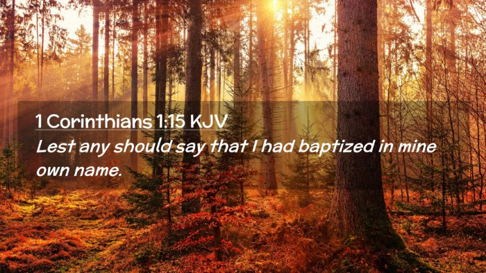 Picture 02 - 1 Corinthians 1:15 KJV Desktop Wallpaper - Lest any should say that I had baptized in mine - Desktop Bible Verse Wallpaper