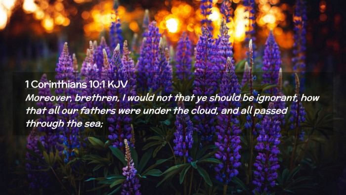 Picture 02 - 1 Corinthians 10:1 KJV Desktop Wallpaper - Moreover, brethren, I would not that ye should be - Desktop Bible Verse Wallpaper
