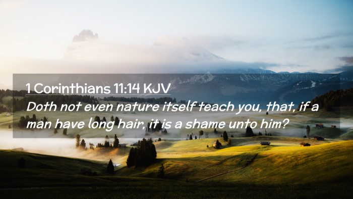 Picture 02 - 1 Corinthians 11:14 KJV Desktop Wallpaper - Doth not even nature itself teach you, that, if a - Desktop Bible Verse Wallpaper
