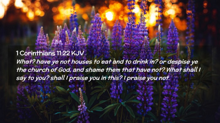 Picture 02 - 1 Corinthians 11:22 KJV Desktop Wallpaper - What? have ye not houses to eat and to drink in? - Desktop Bible Verse Wallpaper