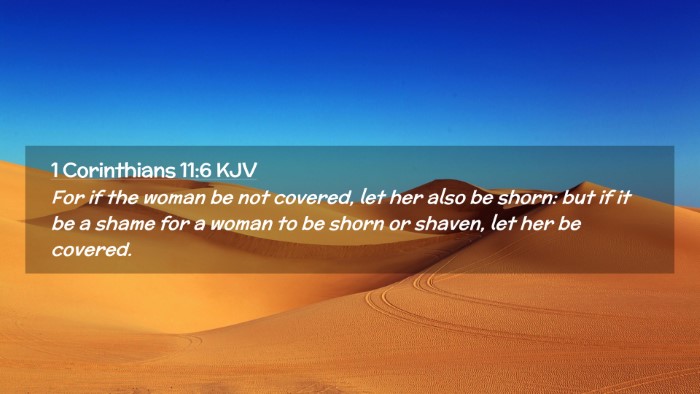 Picture 02 - 1 Corinthians 11:6 KJV Desktop Wallpaper - For if the woman be not covered, let her also be - Desktop Bible Verse Wallpaper