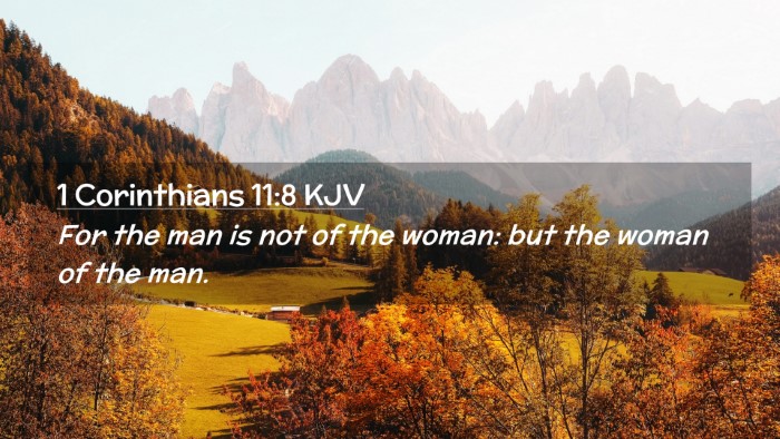 Picture 02 - 1 Corinthians 11:8 KJV Desktop Wallpaper - For the man is not of the woman: but the woman of - Desktop Bible Verse Wallpaper