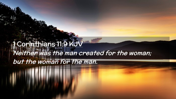 Picture 02 - 1 Corinthians 11:9 KJV Desktop Wallpaper - Neither was the man created for the woman; but - Desktop Bible Verse Wallpaper