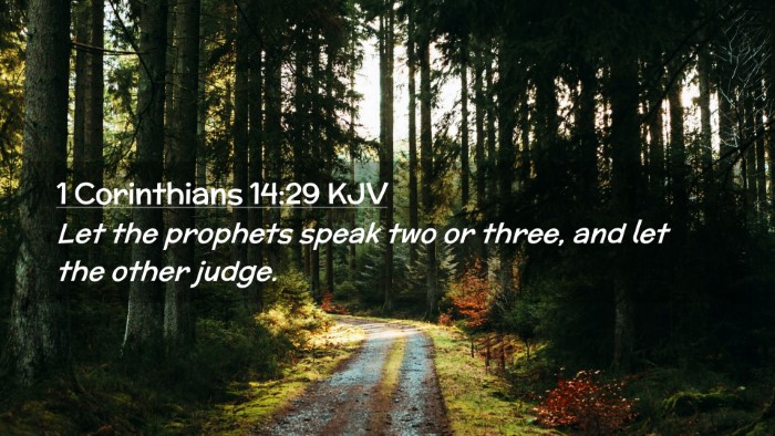 Picture 02 - 1 Corinthians 14:29 KJV Desktop Wallpaper - Let the prophets speak two or three, and let the - Desktop Bible Verse Wallpaper