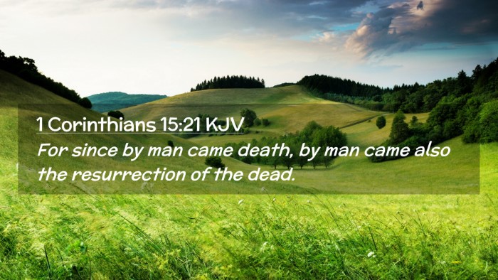 Picture 02 - 1 Corinthians 15:21 KJV Desktop Wallpaper - For since by man came death, by man came also the - Desktop Bible Verse Wallpaper