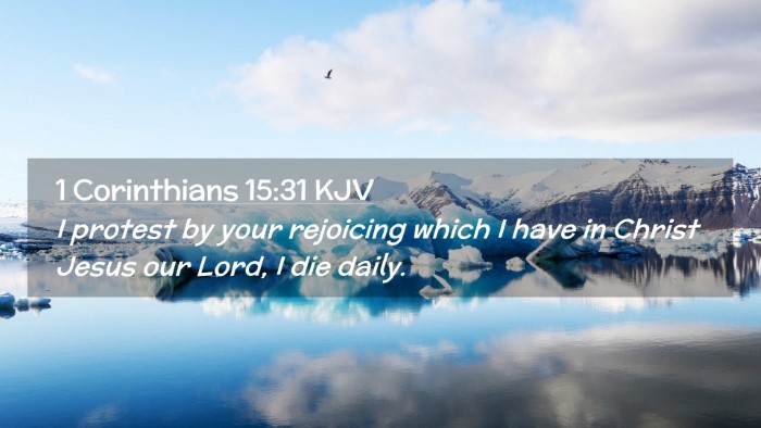 Picture 02 - 1 Corinthians 15:31 KJV Desktop Wallpaper - I protest by your rejoicing which I have in - Desktop Bible Verse Wallpaper