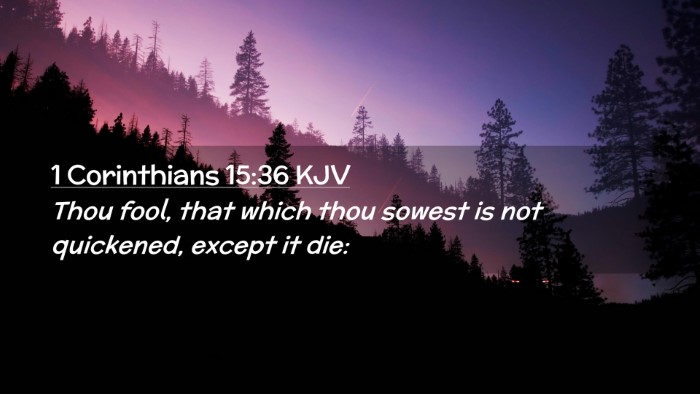 Picture 02 - 1 Corinthians 15:36 KJV Desktop Wallpaper - Thou fool, that which thou sowest is not - Desktop Bible Verse Wallpaper