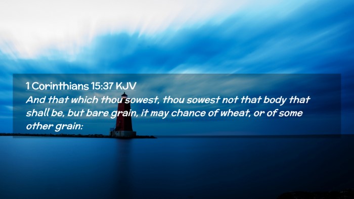 Picture 02 - 1 Corinthians 15:37 KJV Desktop Wallpaper - And that which thou sowest, thou sowest not that - Desktop Bible Verse Wallpaper