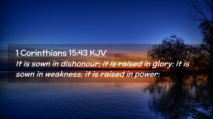 Picture 02 - 1 Corinthians 15:43 KJV Desktop Wallpaper - It is sown in dishonour; it is raised in glory: - Desktop Bible Verse Wallpaper