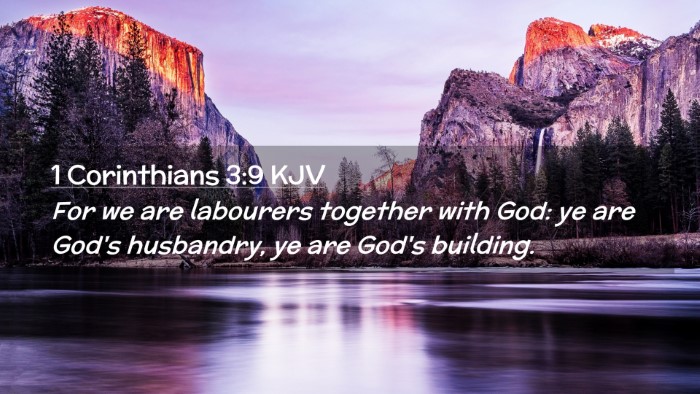 Picture 02 - 1 Corinthians 3:9 KJV Desktop Wallpaper - For we are labourers together with God: ye are - Desktop Bible Verse Wallpaper