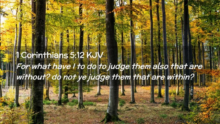 Picture 02 - 1 Corinthians 5:12 KJV Desktop Wallpaper - For what have I to do to judge them also that are - Desktop Bible Verse Wallpaper