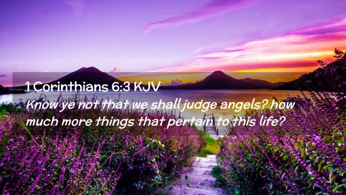 Picture 02 - 1 Corinthians 6:3 KJV Desktop Wallpaper - Know ye not that we shall judge angels? how much - Desktop Bible Verse Wallpaper