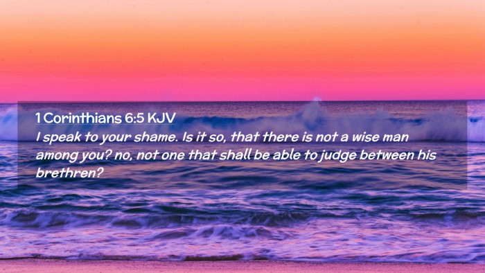 Picture 02 - 1 Corinthians 6:5 KJV Desktop Wallpaper - I speak to your shame. Is it so, that there is - Desktop Bible Verse Wallpaper