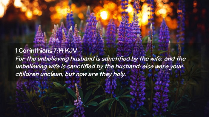 Picture 02 - 1 Corinthians 7:14 KJV Desktop Wallpaper - For the unbelieving husband is sanctified by the - Desktop Bible Verse Wallpaper