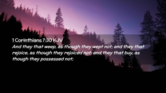 Picture 02 - 1 Corinthians 7:30 KJV Desktop Wallpaper - And they that weep, as though they wept not; and - Desktop Bible Verse Wallpaper