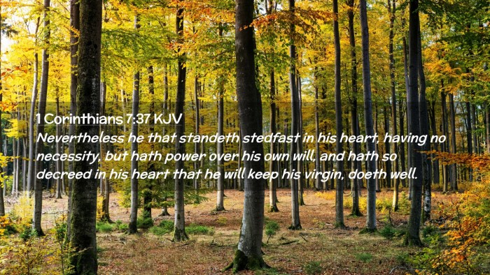 Picture 02 - 1 Corinthians 7:37 KJV Desktop Wallpaper - Nevertheless he that standeth stedfast in his - Desktop Bible Verse Wallpaper