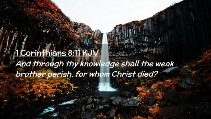 Picture 02 - 1 Corinthians 8:11 KJV Desktop Wallpaper - And through thy knowledge shall the weak brother - Desktop Bible Verse Wallpaper