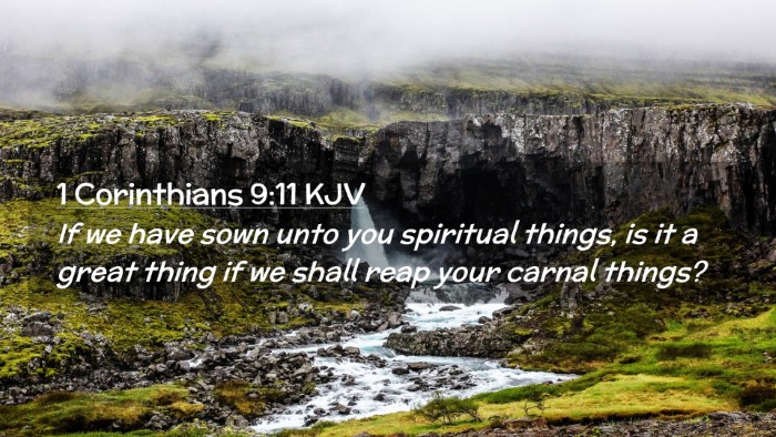 Picture 02 - 1 Corinthians 9:11 KJV Desktop Wallpaper - If we have sown unto you spiritual things, is it - Desktop Bible Verse Wallpaper