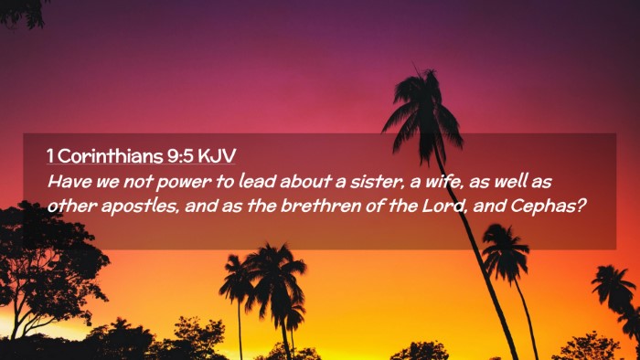 Picture 02 - 1 Corinthians 9:5 KJV Desktop Wallpaper - Have we not power to lead about a sister, a wife, - Desktop Bible Verse Wallpaper