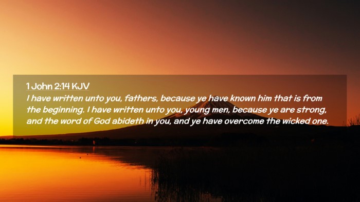 Picture 02 - 1 John 2:14 KJV Desktop Wallpaper - I have written unto you, fathers, because ye have - Desktop Bible Verse Wallpaper