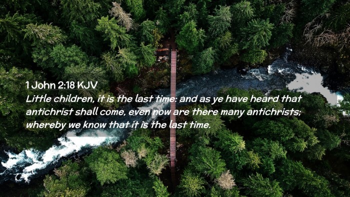 Picture 02 - 1 John 2:18 KJV Desktop Wallpaper - Little children, it is the last time: and as ye - Desktop Bible Verse Wallpaper