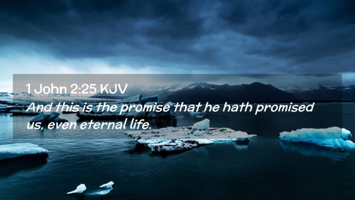 Picture 02 - 1 John 2:25 KJV Desktop Wallpaper - And this is the promise that he hath promised us, - Desktop Bible Verse Wallpaper