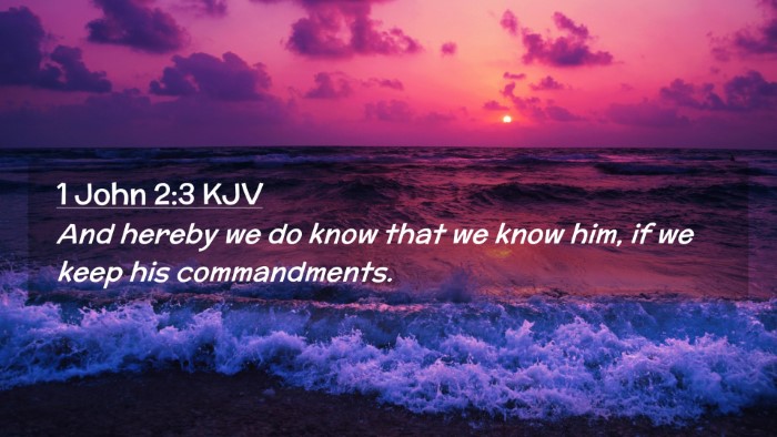 Picture 02 - 1 John 2:3 KJV Desktop Wallpaper - And hereby we do know that we know him, if we - Desktop Bible Verse Wallpaper