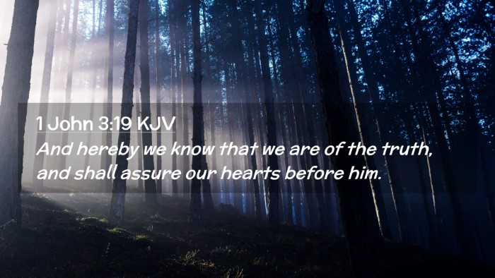 Picture 02 - 1 John 3:19 KJV Desktop Wallpaper - And hereby we know that we are of the truth, and - Desktop Bible Verse Wallpaper