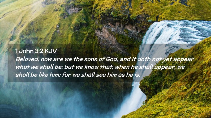 Picture 02 - 1 John 3:2 KJV Desktop Wallpaper - Beloved, now are we the sons of God, and it doth - Desktop Bible Verse Wallpaper