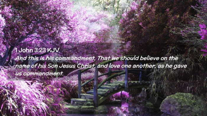 Picture 02 - 1 John 3:23 KJV Desktop Wallpaper - And this is his commandment, That we should - Desktop Bible Verse Wallpaper