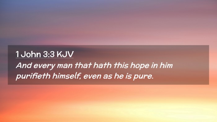 Picture 02 - 1 John 3:3 KJV Desktop Wallpaper - And every man that hath this hope in him - Desktop Bible Verse Wallpaper