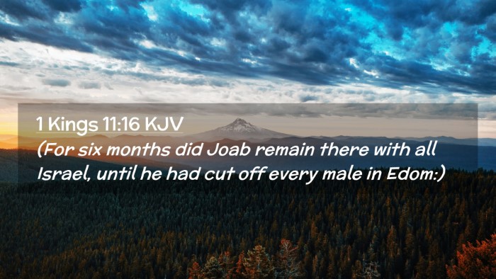 Picture 02 - 1 Kings 11:16 KJV Desktop Wallpaper - (For six months did Joab remain there with all - Desktop Bible Verse Wallpaper