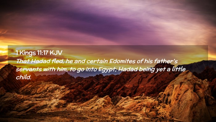 Picture 02 - 1 Kings 11:17 KJV Desktop Wallpaper - That Hadad fled, he and certain Edomites of his - Desktop Bible Verse Wallpaper