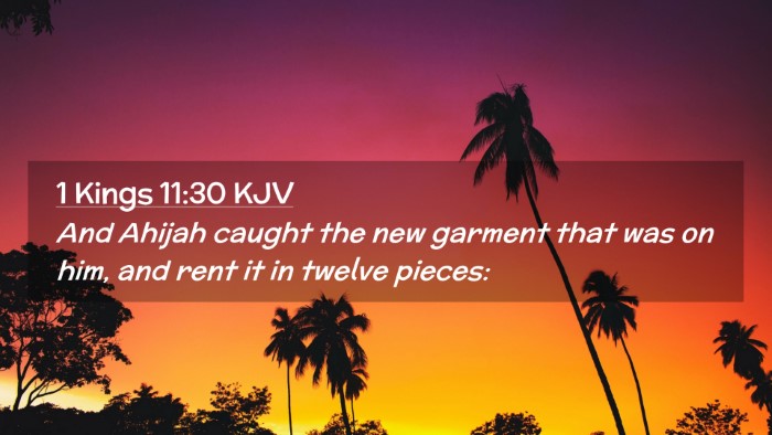 Picture 02 - 1 Kings 11:30 KJV Desktop Wallpaper - And Ahijah caught the new garment that was on - Desktop Bible Verse Wallpaper