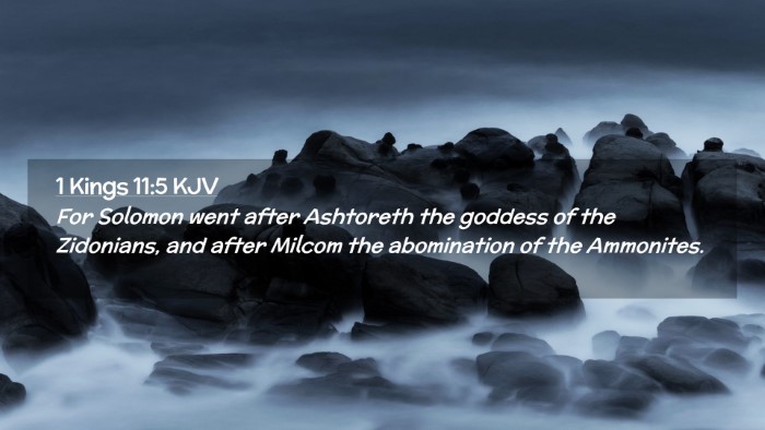 Picture 02 - 1 Kings 11:5 KJV Desktop Wallpaper - For Solomon went after Ashtoreth the goddess of - Desktop Bible Verse Wallpaper