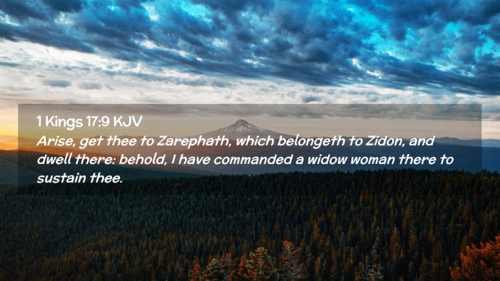 Picture 02 - 1 Kings 17:9 KJV Desktop Wallpaper - Arise, get thee to Zarephath, which belongeth to - Desktop Bible Verse Wallpaper