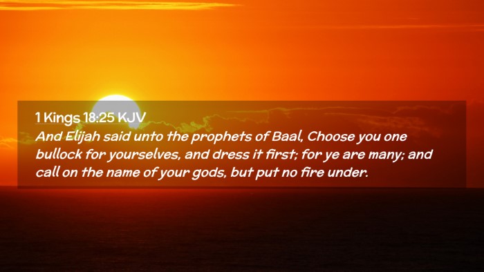 Picture 02 - 1 Kings 18:25 KJV Desktop Wallpaper - And Elijah said unto the prophets of Baal, Choose - Desktop Bible Verse Wallpaper