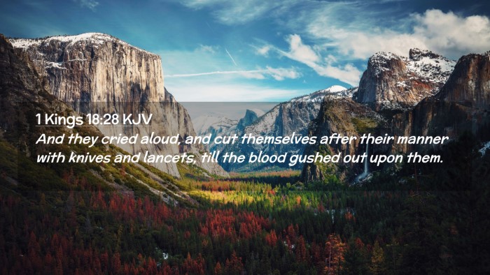 Picture 02 - 1 Kings 18:28 KJV Desktop Wallpaper - And they cried aloud, and cut themselves after - Desktop Bible Verse Wallpaper