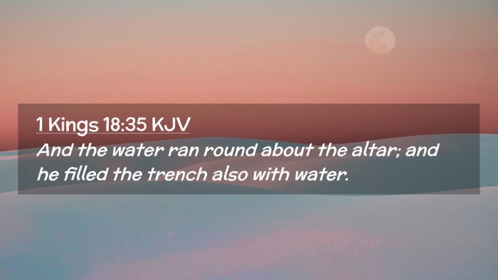 Picture 02 - 1 Kings 18:35 KJV Desktop Wallpaper - And the water ran round about the altar; and he - Desktop Bible Verse Wallpaper