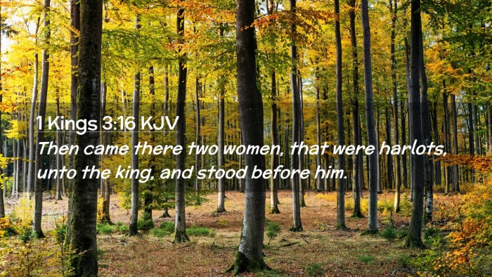 Picture 02 - 1 Kings 3:16 KJV Desktop Wallpaper - Then came there two women, that were harlots, - Desktop Bible Verse Wallpaper