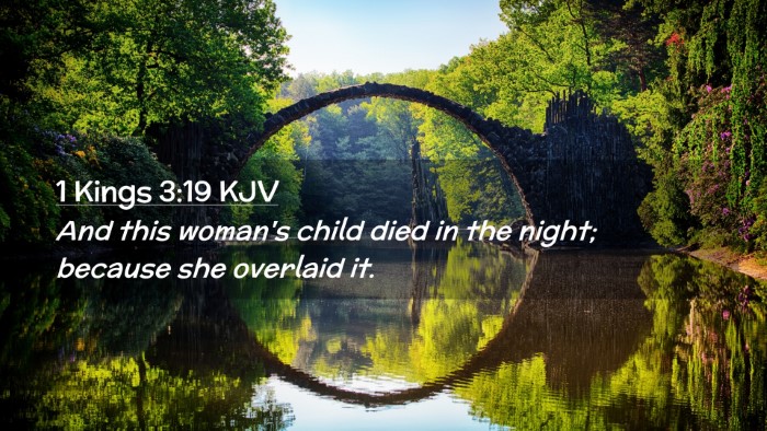 Picture 02 - 1 Kings 3:19 KJV Desktop Wallpaper - And this woman's child died in the night; because - Desktop Bible Verse Wallpaper