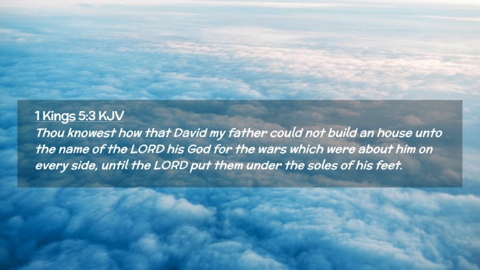 Picture 02 - 1 Kings 5:3 KJV Desktop Wallpaper - Thou knowest how that David my father could not - Desktop Bible Verse Wallpaper